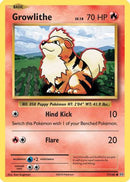Growlithe (017/108) [XY  Evolutions] - Common
