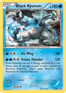 Black Kyurem (XY160/211) [XY Promos] Holofoil - Promo
