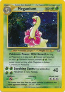 Meganium (11/111) [Neo Genesis] Unlimited Holofoil - Holo Rare